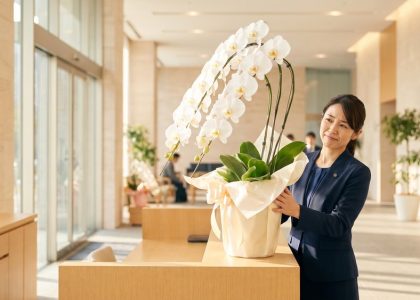 オフィスの受付カウンターで大きな白い胡蝶蘭の鉢を抱え、置き場所に困っている受付の女性